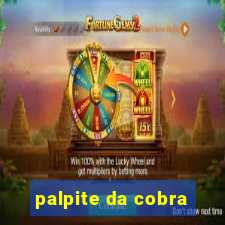 palpite da cobra